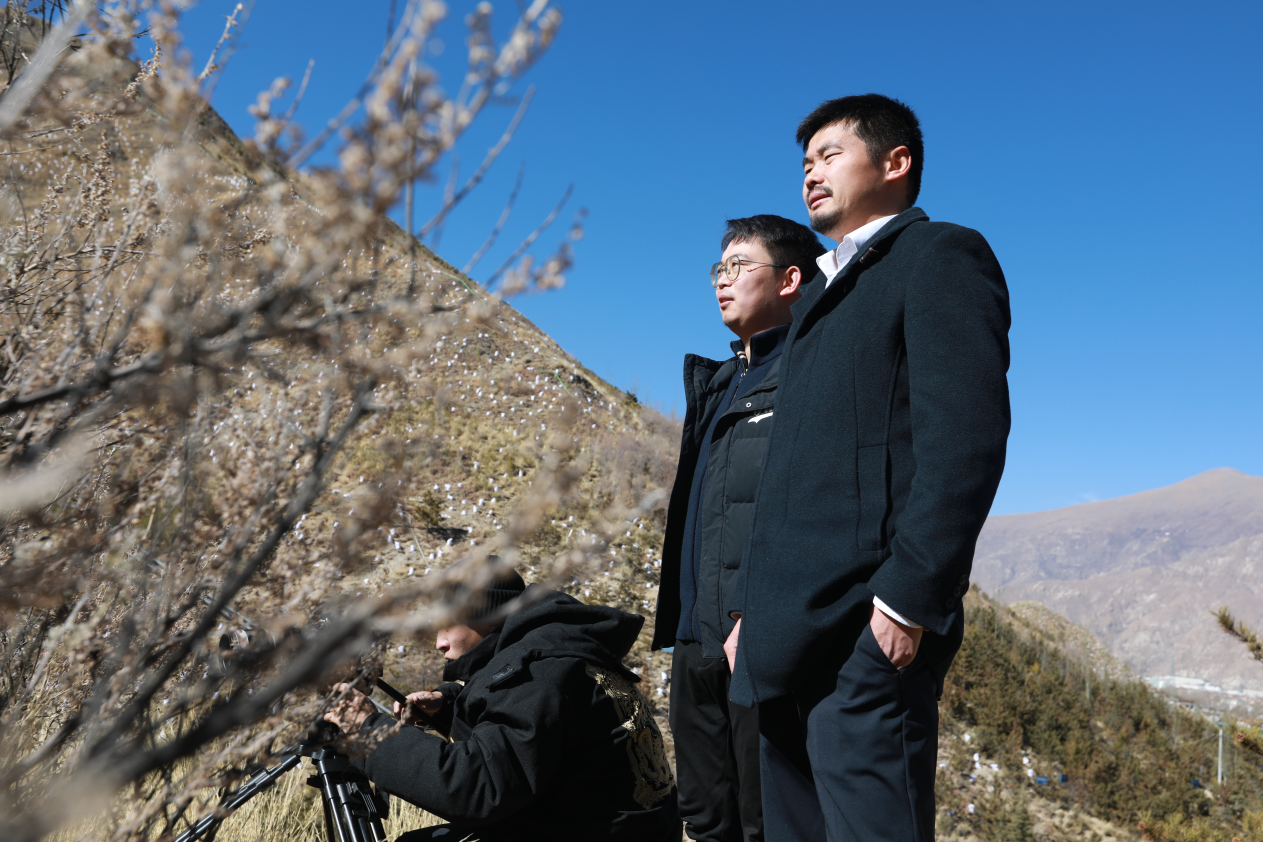 1703061250180811.png 圖片2.png